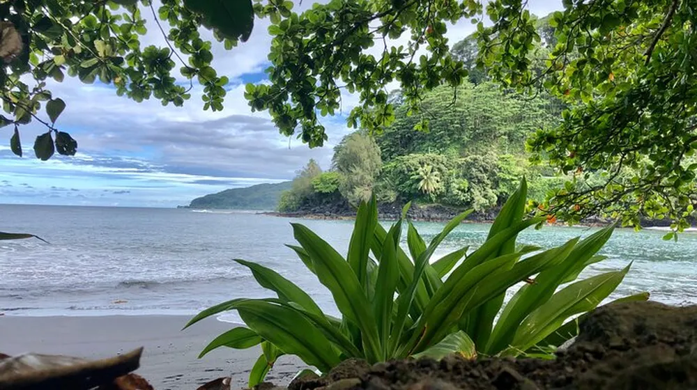 Discovery of the Authentic Tahiti  Half Day East Coast or West Coast