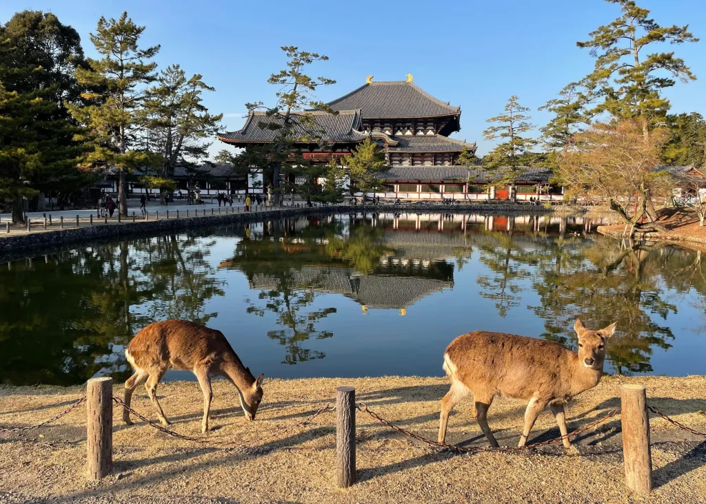Nara Park