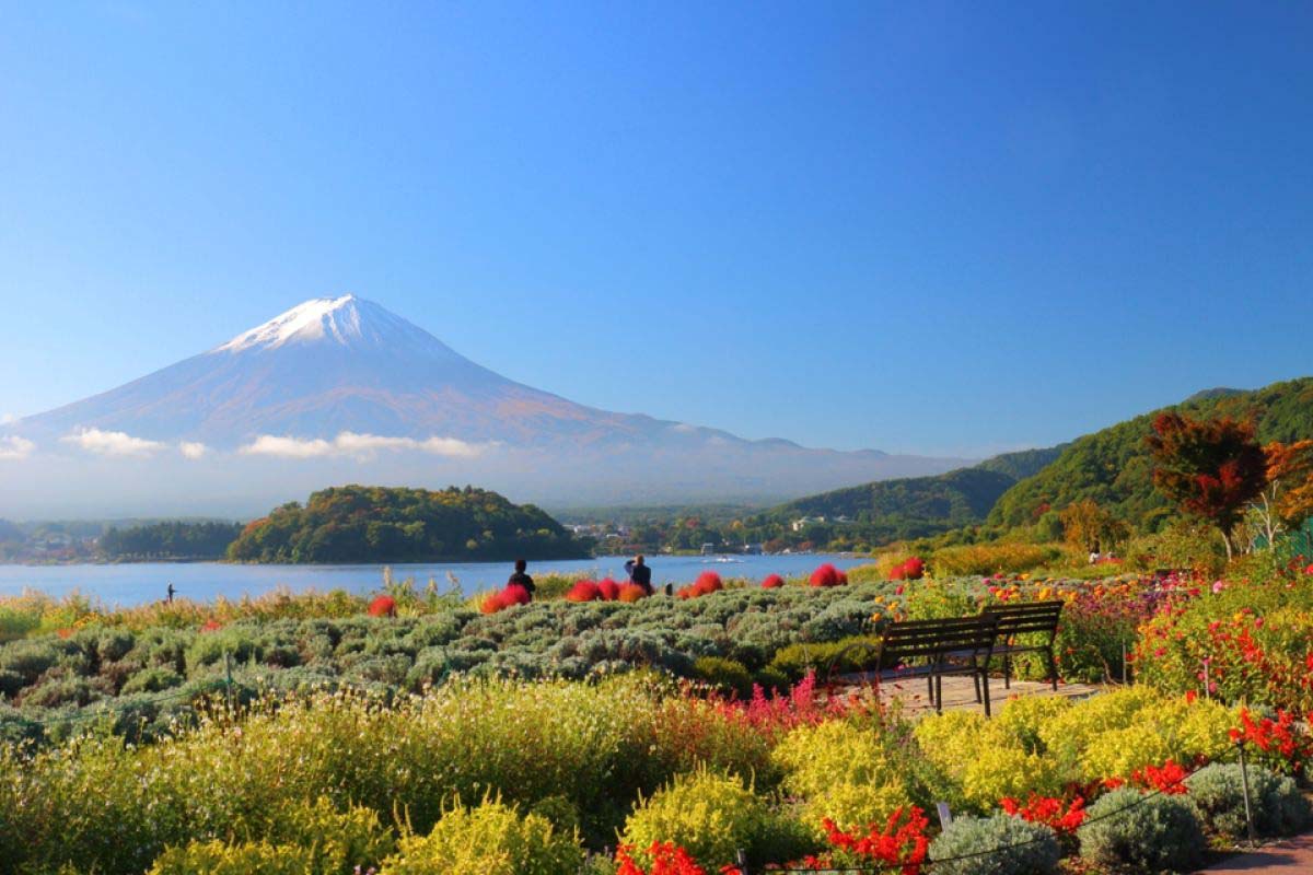 Oishi Park