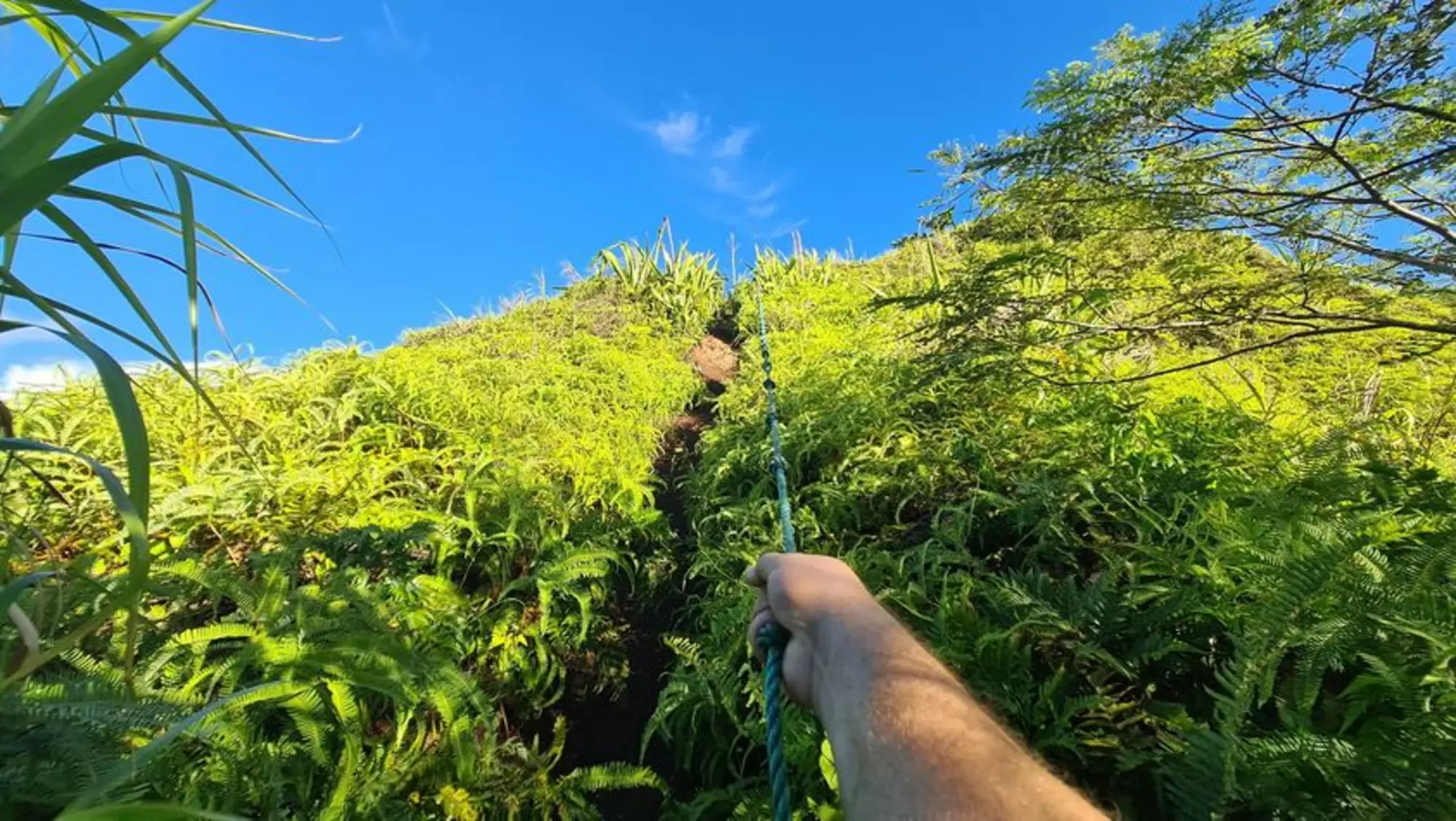 Arore Mountain Trail