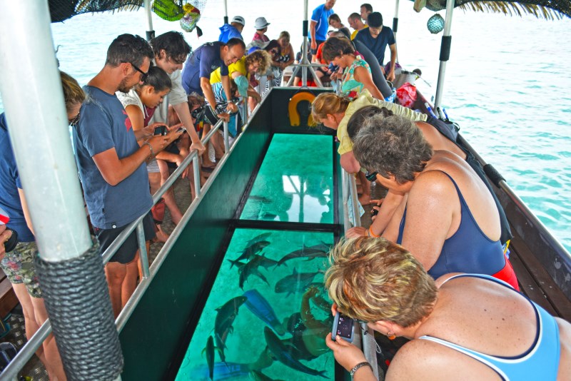 Koka Daily Lagoon Cruise