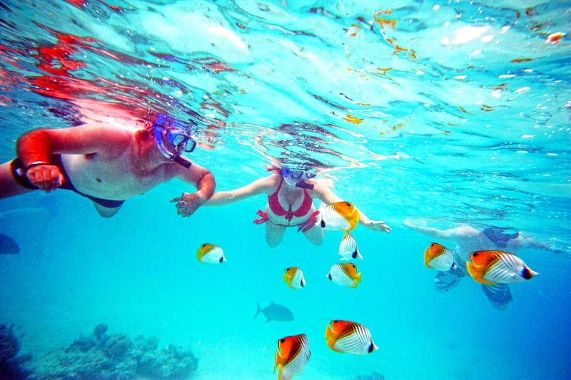 Koka Daily Lagoon Cruise